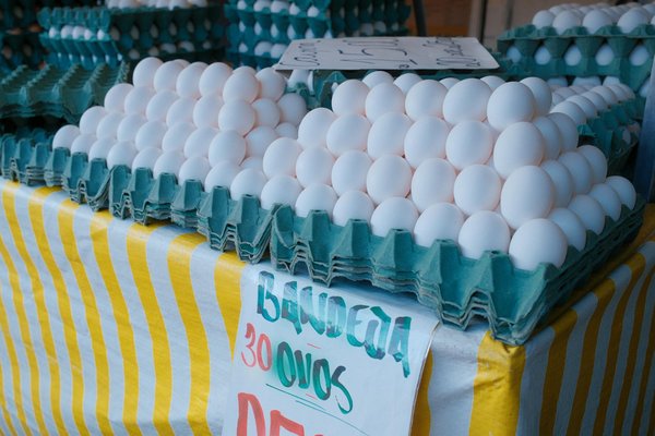 Comment organiser un atelier de cuisine pour enfants avec des recettes simples et ludiques?